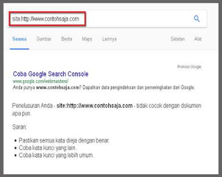 Beware Google DeIndex! Read the 12 Causes and Solutions Here