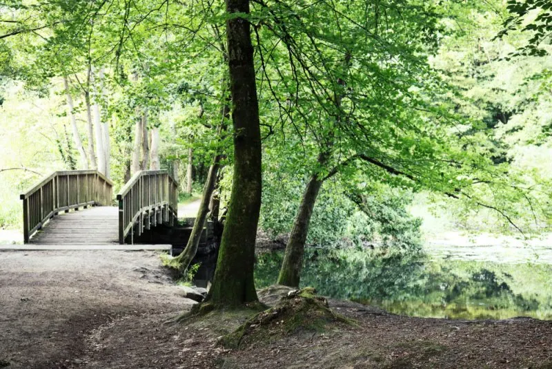 Umgebung Wohldorf-Ohlstedt