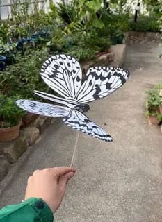 ぱたぱたバタフライ