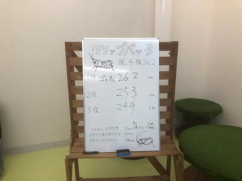 クリップバッタ選手権