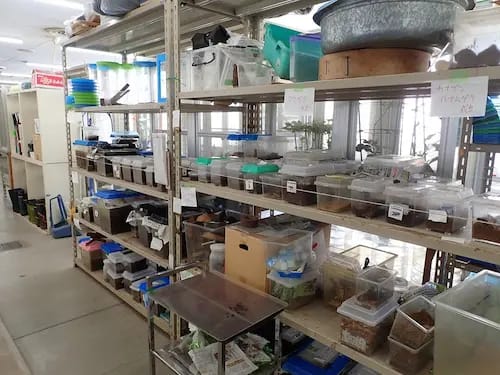 バックヤードガイド　「飼育室ツアー」