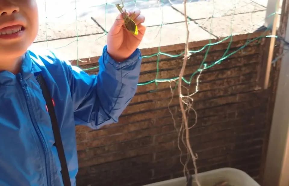 冬の虫さがしと森あそび