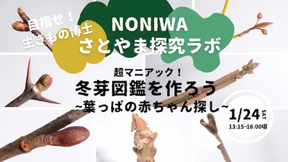 【目指せ生き物博士】超マニアック！冬芽図鑑作り 葉っぱの赤ちゃん探し