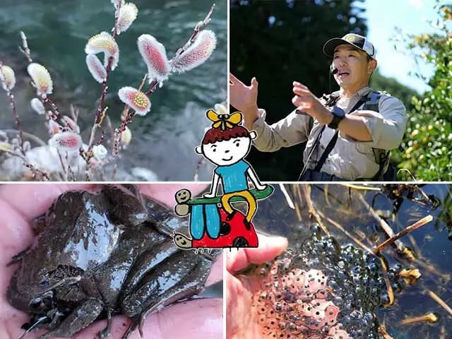 極寒の渓谷で活動する生物の謎を解明！真冬の非常識いきもの探偵団