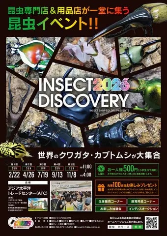 INSECT DISCOVERY