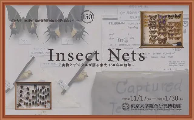 Insects Nets －実物とデジタルが語る東大150年の軌跡－