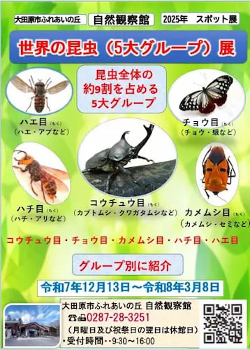 世界の昆虫（5大グループ）展