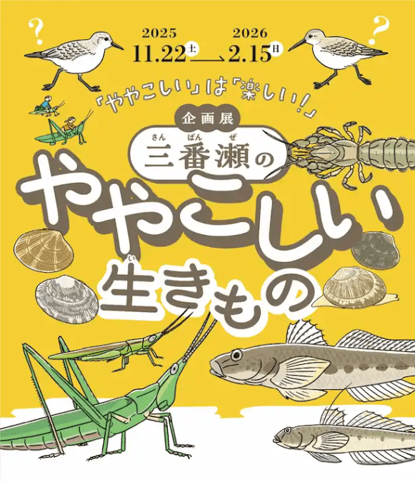 三番瀬のややこしい生きもの