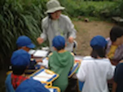 自然体験プログラム 森の調査隊