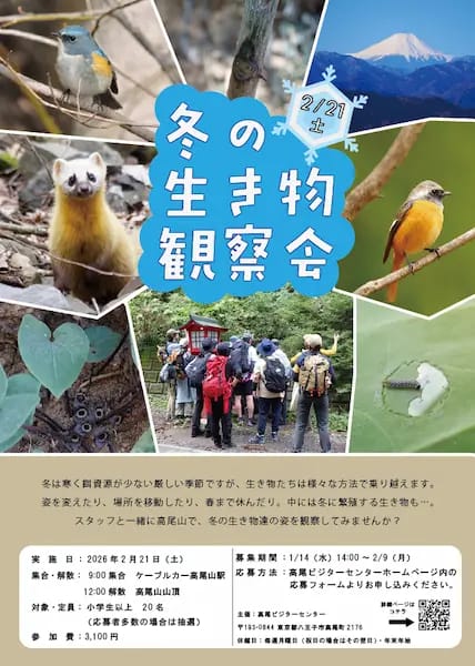 冬の生き物観察会