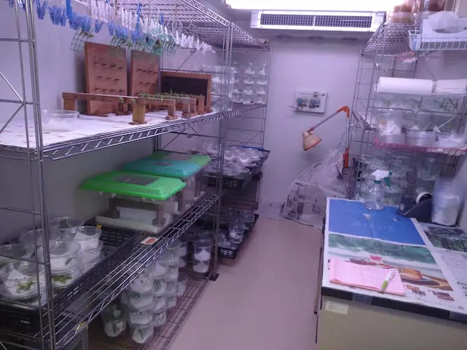 昆虫館バックヤードツアー