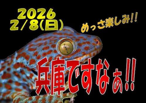 ジャングルハンター