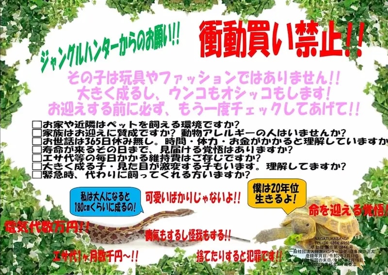 ジャングルハンター