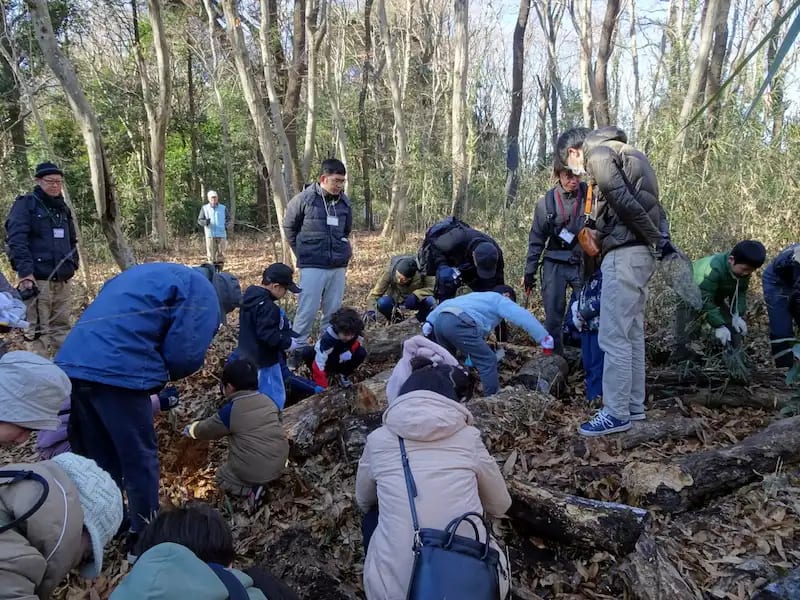 早春の生きものを探してみよう