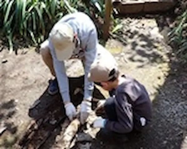 初めての自然観察会《早春の虫さがし》