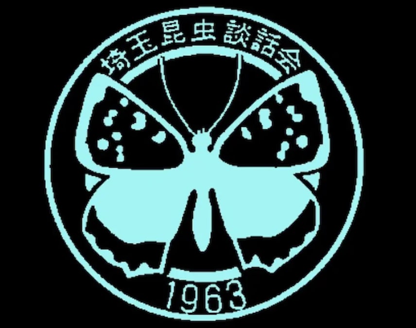 早春の昆虫、 植物観察会