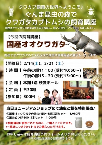 オオクワガタ飼育講座