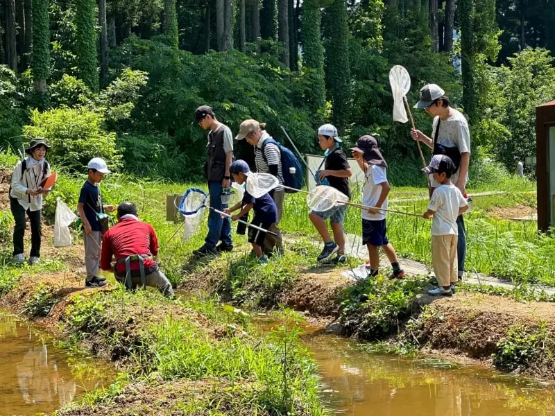 里山の生き物探検