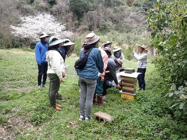 山田緑地みつばちプロジェクト