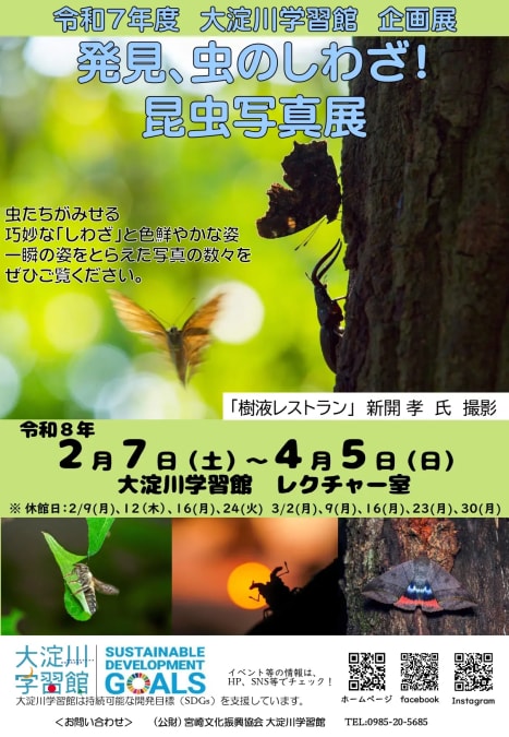 企画展「発見、虫のしわざ！昆虫写真展」