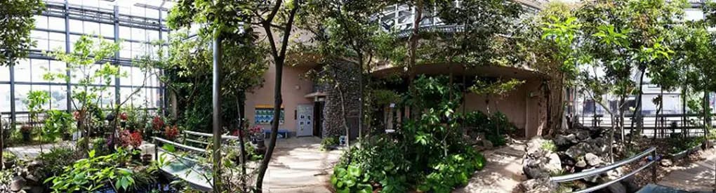 ◇ミニ講座◇（身近な生きものちょこっと体験）