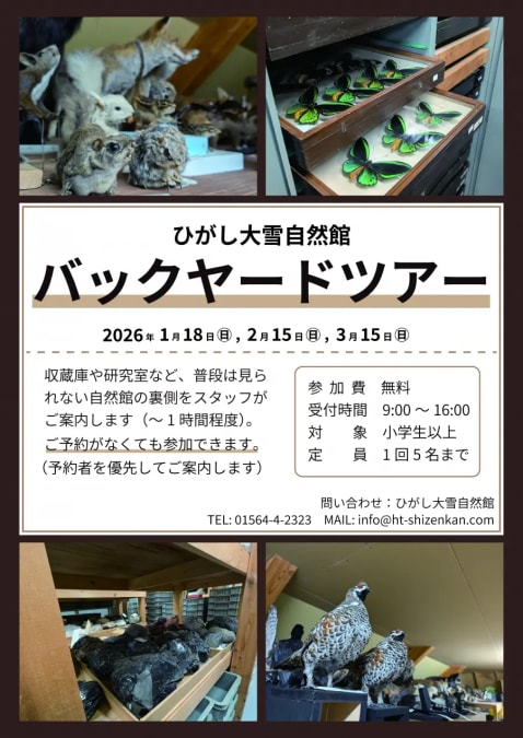 自然館バックヤードツアー