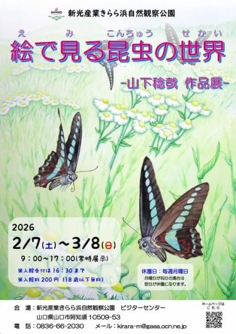 企画展「絵で見る昆虫の世界　-山下稔哉作品展-」