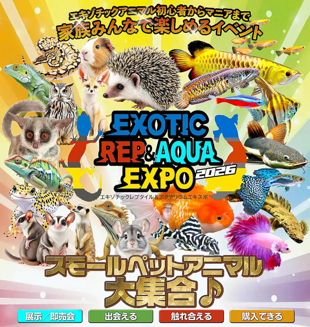 エキゾチックレプ&アクアエキスポ(EXOTIC REP&AQUA EXPO)