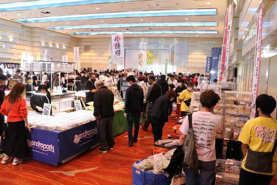 World Animal Festival！