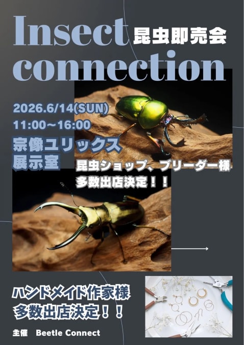 Insect  connection