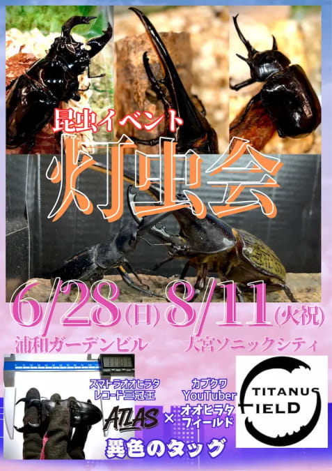 昆虫イベント　灯虫会