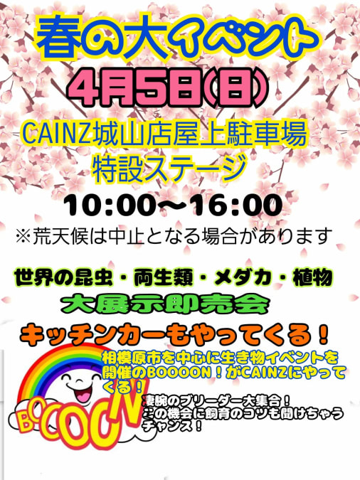 春の大イベント　大展示即売会