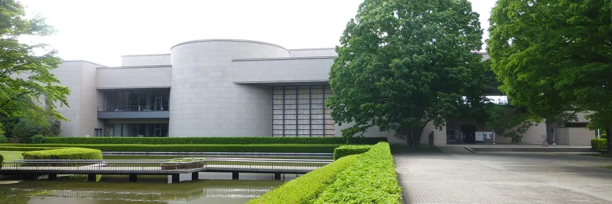 セミの羽化を見よう