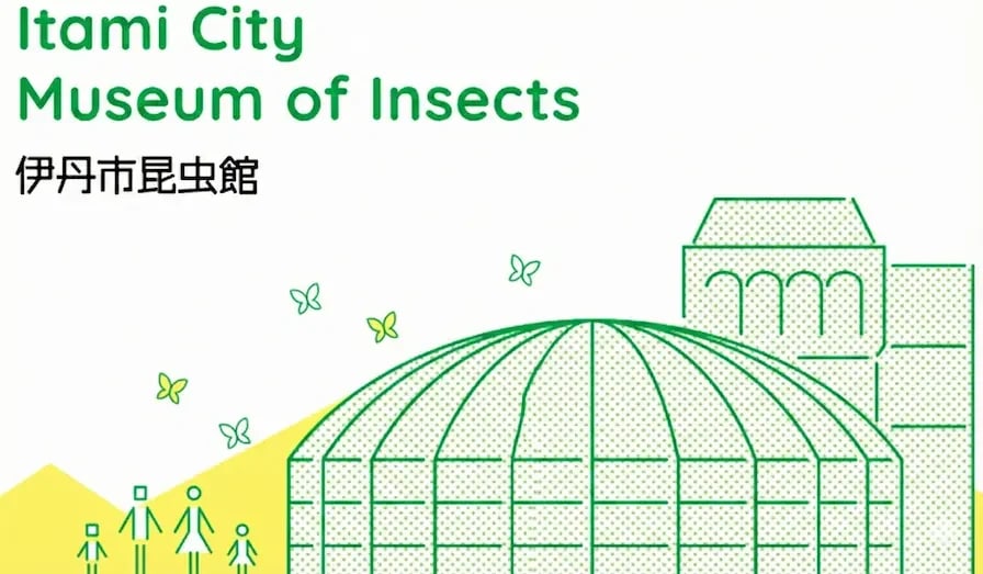 プチ展示 スズメガ