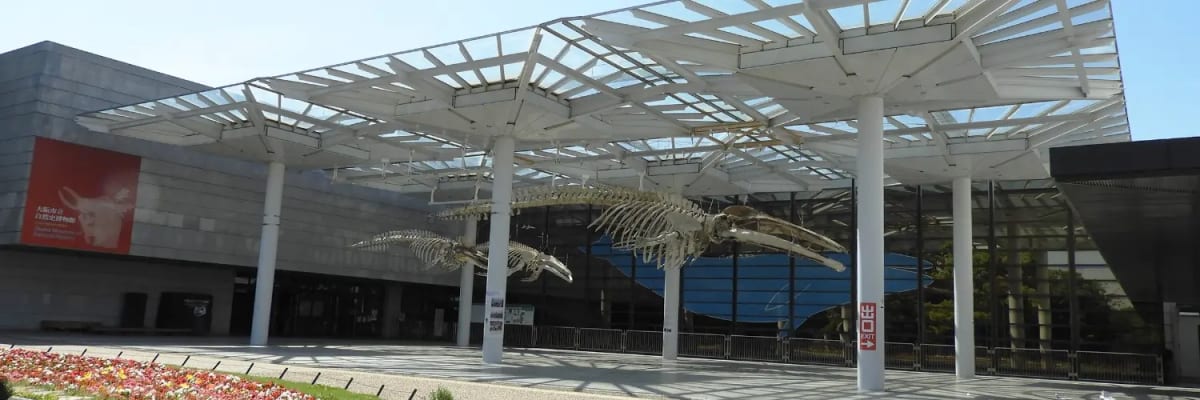 ジュニア自然史クラブ「ミーティング　標本実習と長居公園の生き物探し」