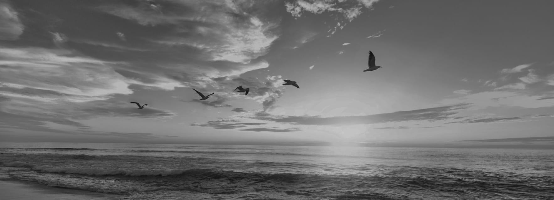 Kiwi Payments Move to 365 days a Year featured image