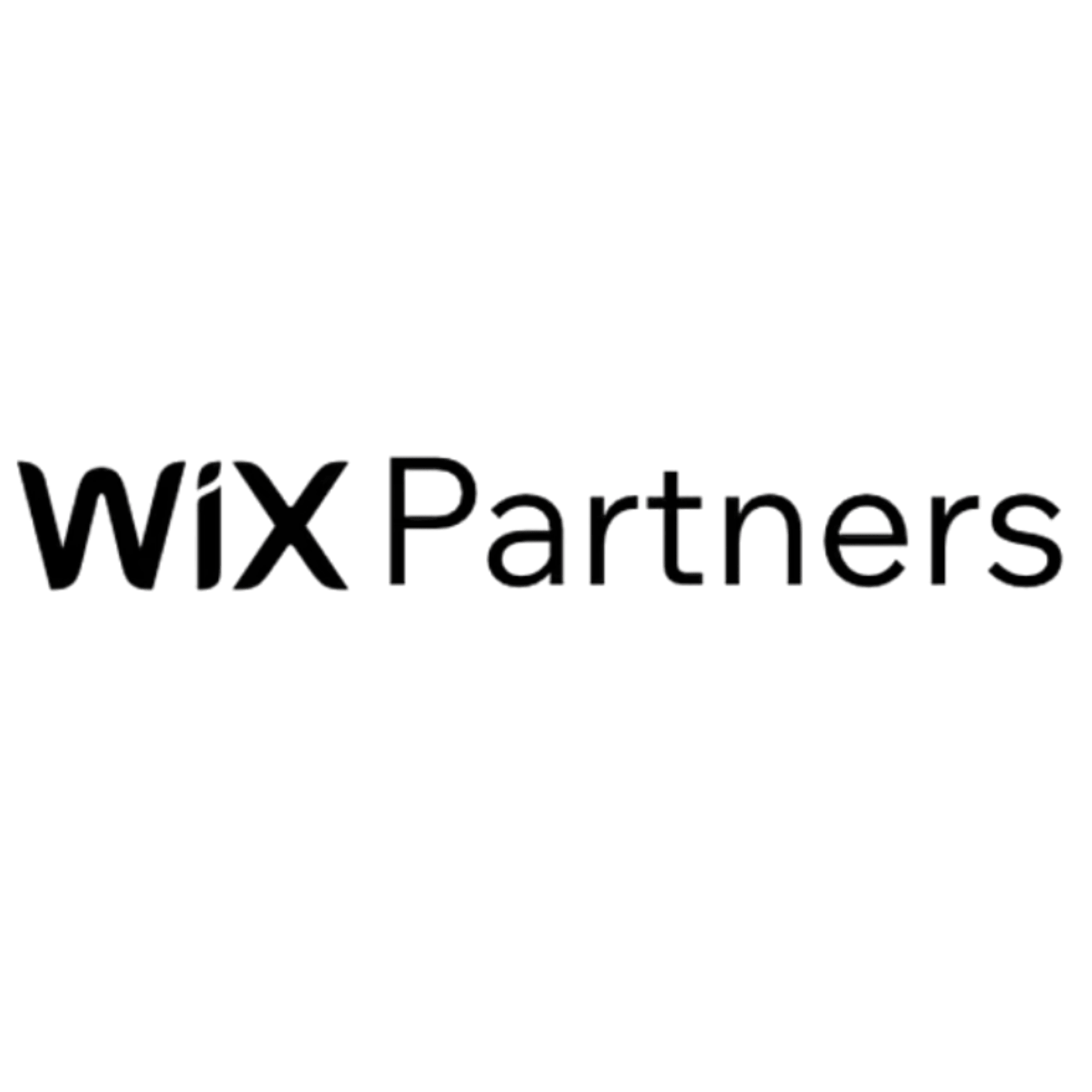 Partner Logo 2