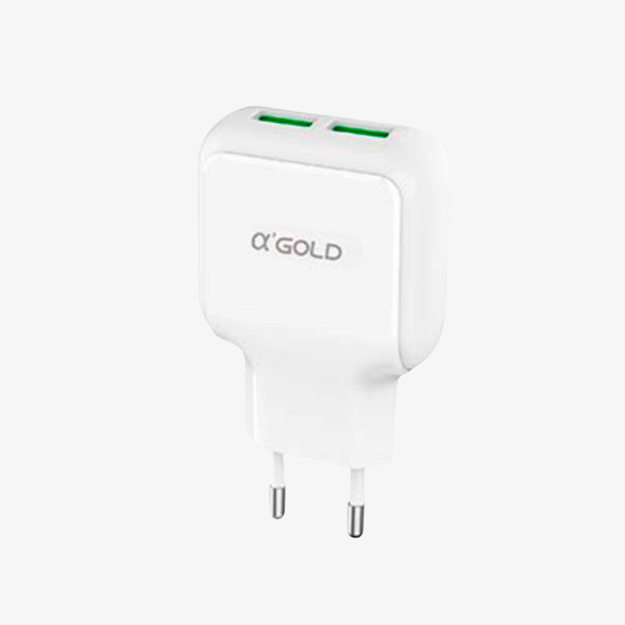 Fonte A'Gold rápido 2 saídas TIPO-A