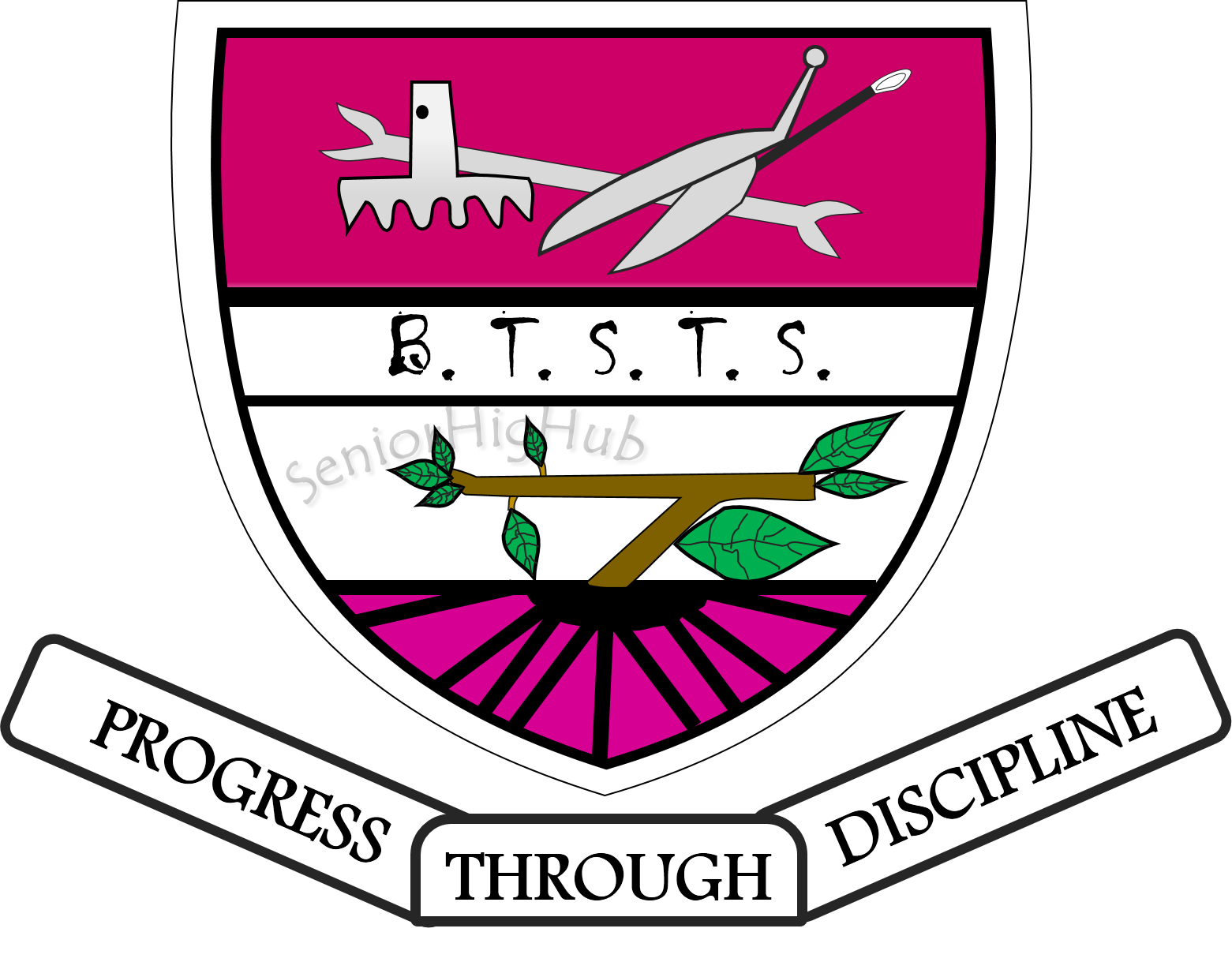 BOAKYE TROMO SENIOR HIGH/ TECH SCHOOL
