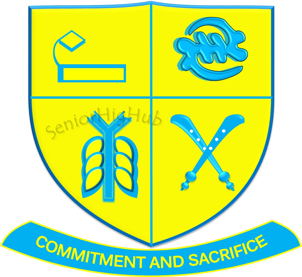 NYINAHIN CATH. SENIOR HIGH SCHOOL