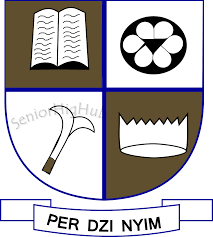 BIBIANI SENIOR HIGH/TECH SCHOOL