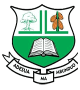ADJOAFUA COMM. SENIOR HIGH SCHOOL