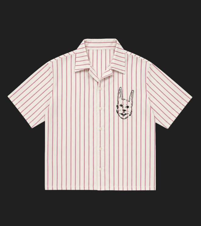 Camisa de Botão Listrada Coelho
