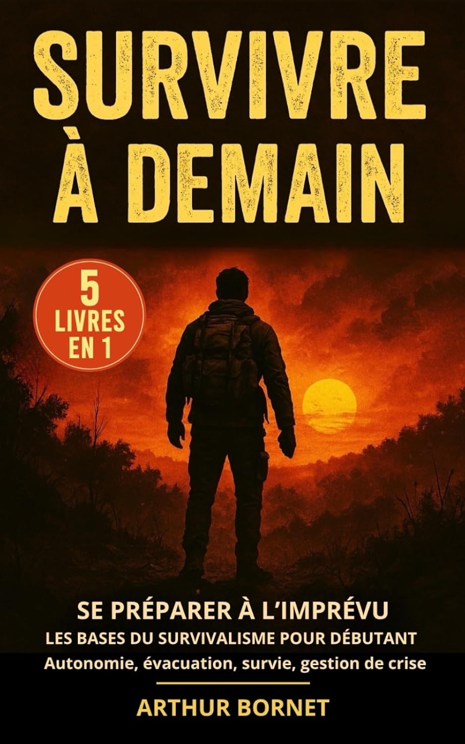 Vue 3 de Survivre Comment Vaincre En