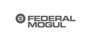 Federal Mogul Federal Mogul