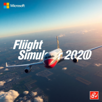 Microsoft Flight Simulator
