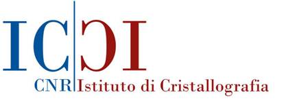 CNR Institute Logo