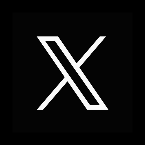 X DeepSearch logo