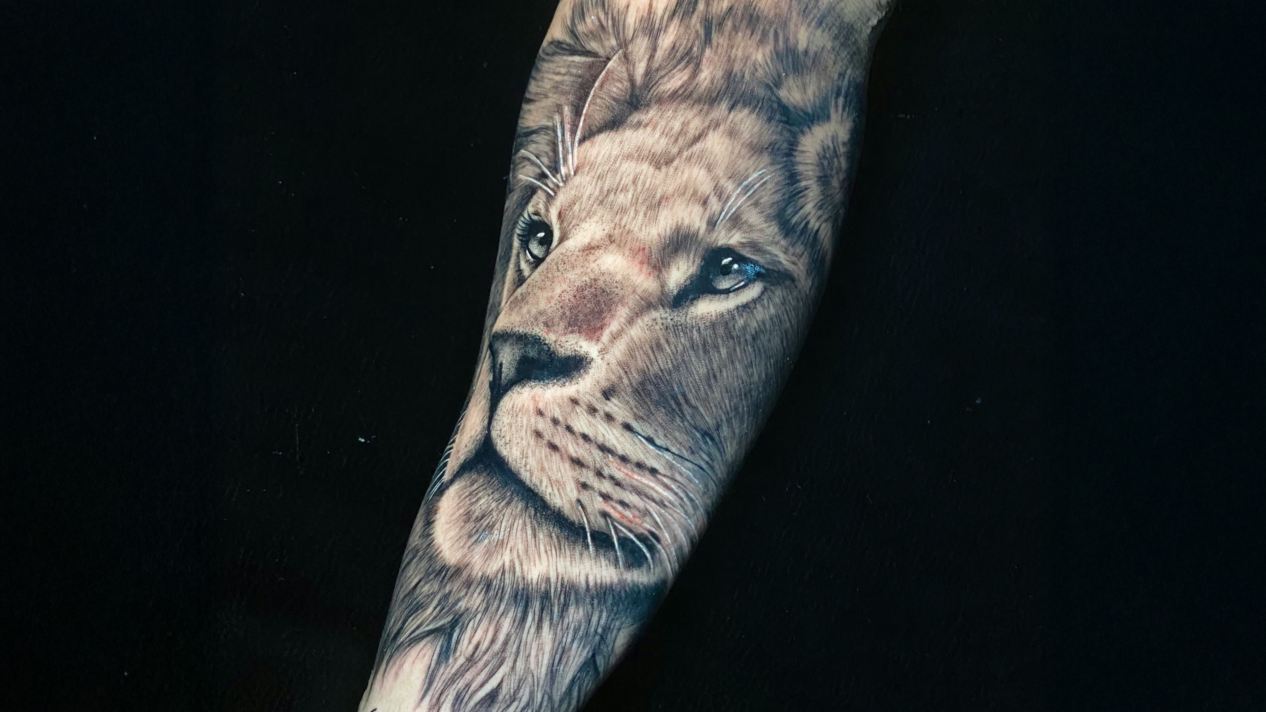 Animal
