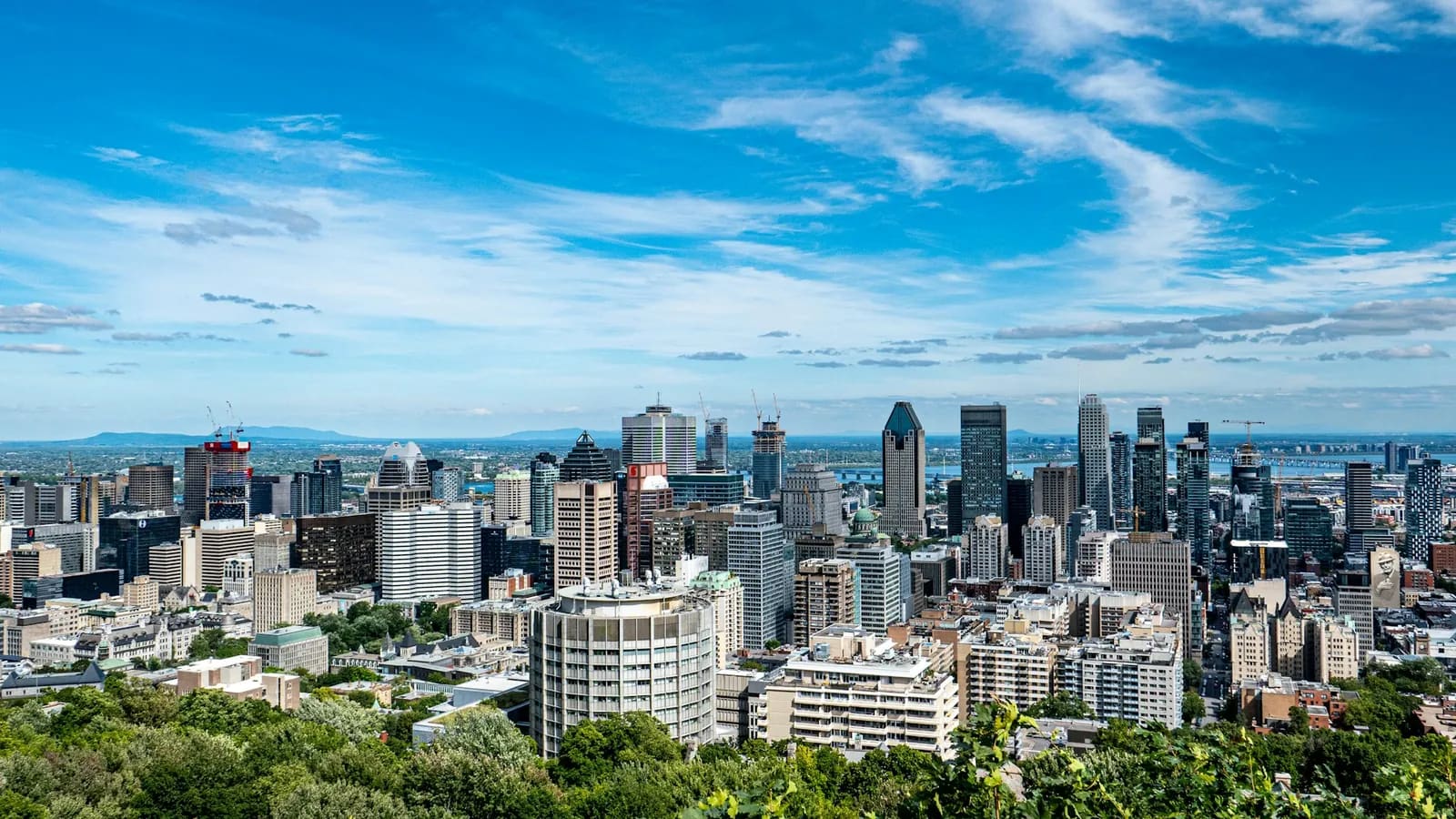 Vue du centre-ville de Montréal depuis le mont Royal